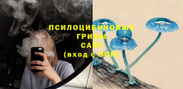 мдпв Бугульма