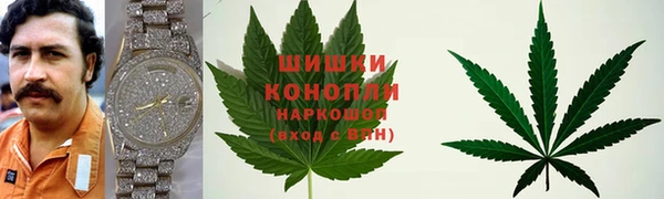 ALPHA PVP Бородино