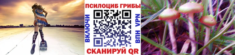 Галлюциногенные грибы ЛСД  дарк нет Telegram  Чебоксары 